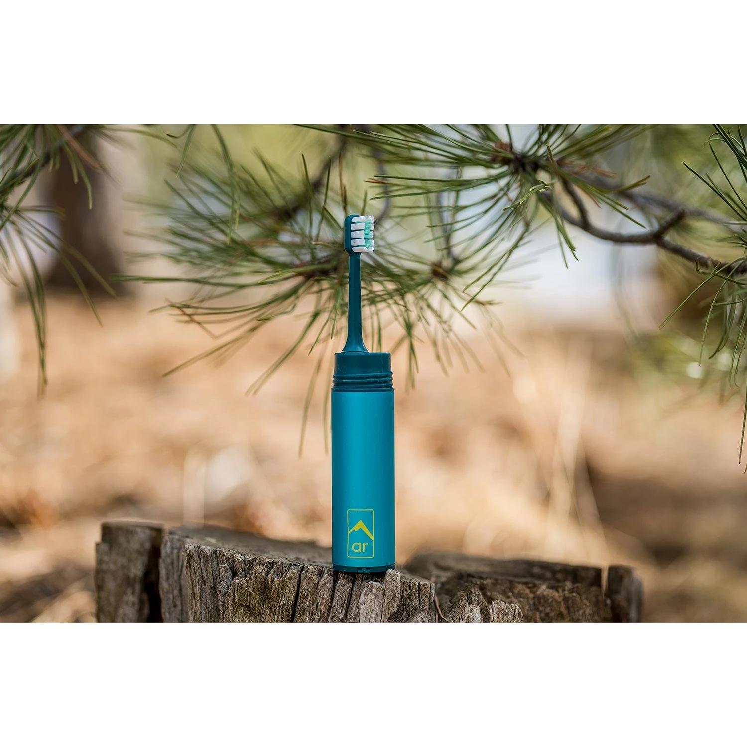 Adventure Ready Tooth Care Capsule 4 Adventure Ready Tooth Care Capsule - Image 2