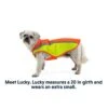 Ruffwear Lumenglow High-Vis Dog Jacket -Outdoor Products Store 05771