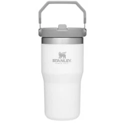 Stanley The IceFlow Flip Straw 20 Oz. Tumbler -Outdoor Products Store 10 09994 001