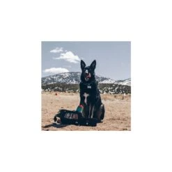 Chums Trail Dawg Waistpack -Outdoor Products Store 140752