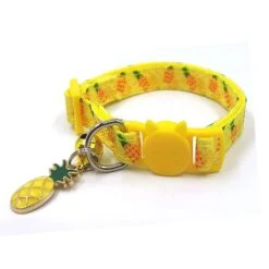 Playful Paws Print Cat Collar By Dog Hugs Cat -Outdoor Products Store 1618463086771 c787bd75 754d 44bc a2e5 a6dbecea1cbf