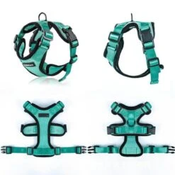 Purrfectprowl - Stylish Cat Walking Harness By Dog Hugs Cat -Outdoor Products Store 1619336375886 3c6243fe 87d2 44a2 86b3 c08624fac513