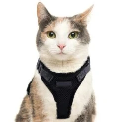 Purrfectprowl - Stylish Cat Walking Harness By Dog Hugs Cat -Outdoor Products Store 1619336375887