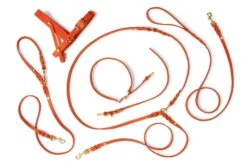 Butter Leather 3x Adjustable Dog Leash - Mango By Molly And Stitch US -Outdoor Products Store 210831 Molly and Stitch Products1060 3f958e0f c7c1 47ba b474 e91bf3e6260a