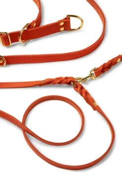 Butter Leather 3x Adjustable Dog Leash - Mango By Molly And Stitch US -Outdoor Products Store 210831 Molly and Stitch Products1067