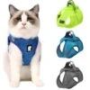 The Wanderlust Cat Adventure Harness By Dog Hugs Cat -Outdoor Products Store 2417187970812