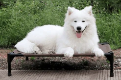 Luxury Breathable Pet Bed With Moisture-Proof Oxford Cloth And Removable Washable Stack Design By Dog Hugs Cat -Outdoor Products Store 2659825873620