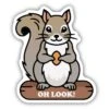 Oh Look Squirrel On Log -Outdoor Products Store 2951 LSTK