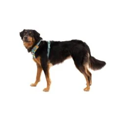 Ruffwear Front Range Harness 24 Ruffwear Front Range Harness -Outdoor Products Store 30503 9682