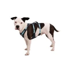Ruffwear Flagline Harness -Outdoor Products Store 30821gry2 63000331 0734 4ce4 98d8 50c421dfd660