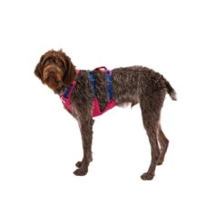 Ruffwear Flagline Harness -Outdoor Products Store 30821pnk1 be353459 8477 4126 b67b 75b149f04edf