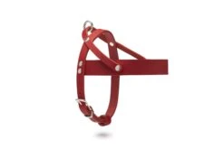 Butter Leather Dog Harness - Chili Red By Molly And Stitch US -Outdoor Products Store 35