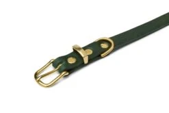 Butter Leather Dog Collar - Forest Green By Molly And Stitch US -Outdoor Products Store 3b 32c2fc76 a3e2 4bd4 9147 14f65f6988fa