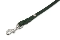 Butter Leather City Dog Leash - Forest Green By Molly And Stitch US -Outdoor Products Store 46