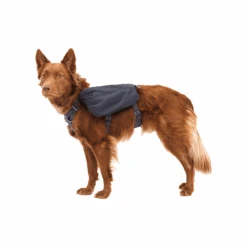 Ruffwear Front Range Day Pack 16 Ruffwear Front Range Day Pack -Outdoor Products Store 50601 0422