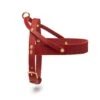 Butter Leather Dog Harness - Chili Red By Molly And Stitch US -Outdoor Products Store 6gMVgkbg