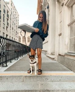 Butter Leather City Dog Leash - Classic Brown By Molly And Stitch US -Outdoor Products Store 7j9 cG g f3d78996 39ad 4fb4 bf04 731d0acd9a07