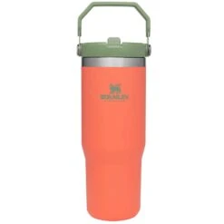 Stanley IceFlow Flip Straw Tumbler | 30 OZ -Outdoor Products Store B2B Web PNG The Classic IceFlow Flip Straw Tumbler 1800x1800 3949db23 b4f5 41cb 8b76 c96bbc7603de