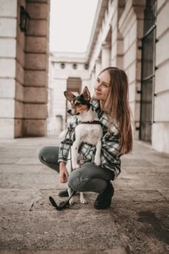 Butter Leather Dog Harness - Classic Brown By Molly And Stitch US 21 Butter Leather Dog Harness - Classic Brown By Molly And Stitch US -Outdoor Products Store JMH0HBYc