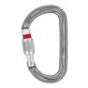 Petzl AM'D Screw-Lock Carabiner -Outdoor Products Store M34A SL