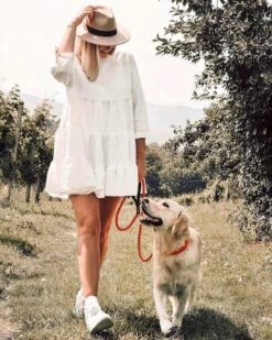 Touch Of Leather Dog Collar - Pumpkin By Molly And Stitch US -Outdoor Products Store TwIaZTCw 609efed8 4f34 46e5 9ac7 a73d1cd885b7