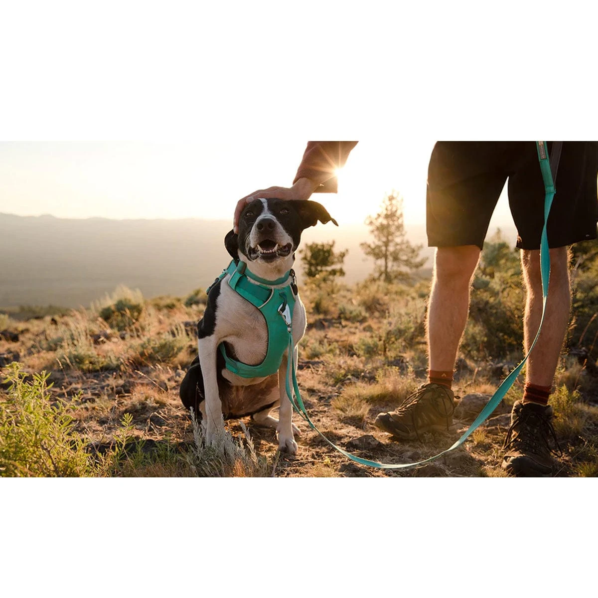 Ruffwear Front Range Harness 12 Ruffwear Front Range Harness - Image 10