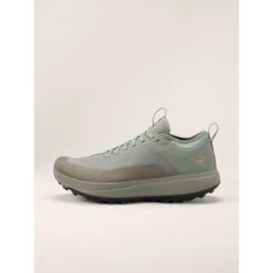 Arc'teryx Men's Sylan GTX Running Shoe