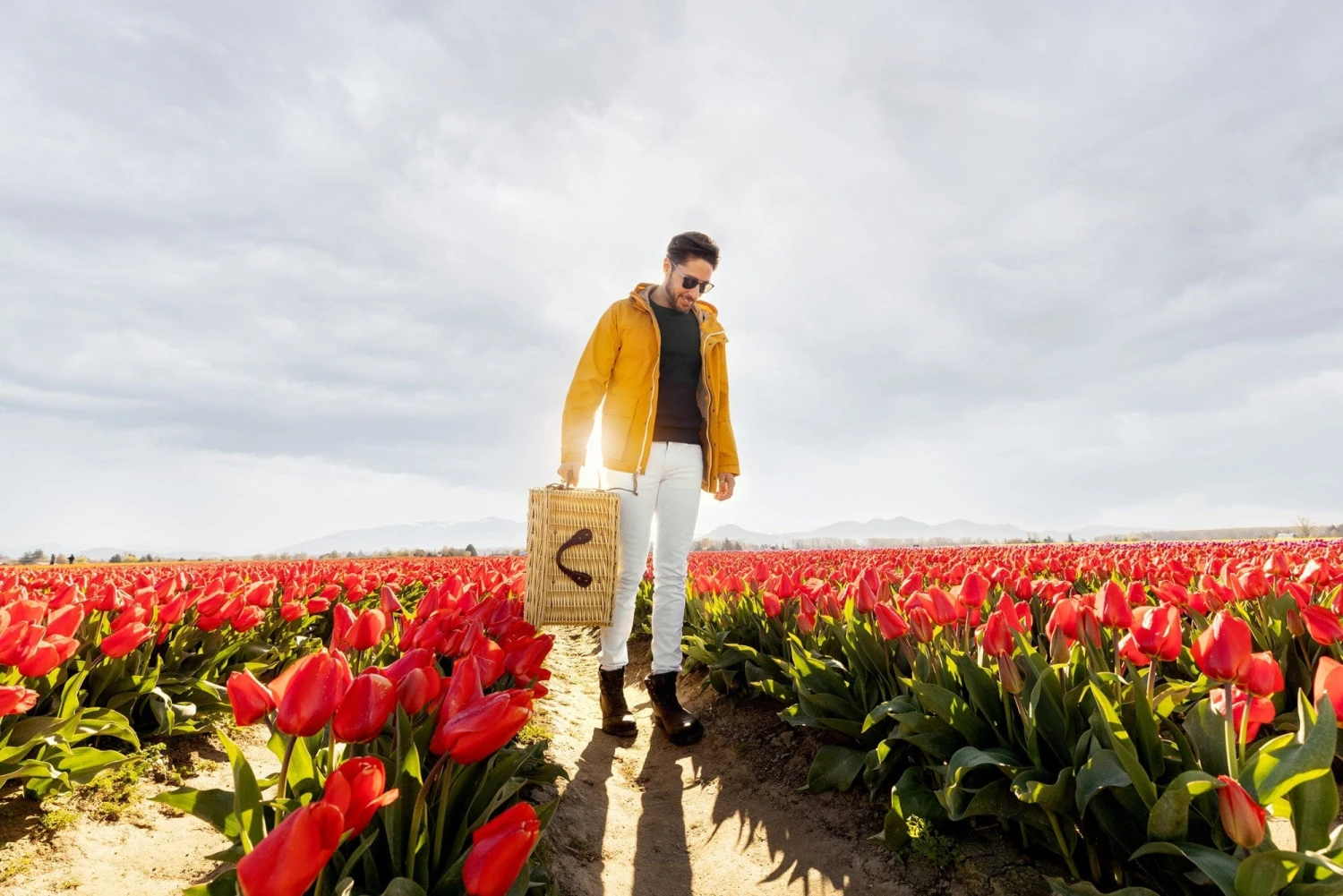 Charleston Picnic Basket By Picnic Time Family Of Brands 18 Charleston Picnic Basket By Picnic Time Family Of Brands - Image 16