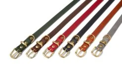 Butter Leather Dog Collar - Forest Green By Molly And Stitch US -Outdoor Products Store br6ShCPg 4a4ec8c6 660b 4c97 95dd 55e31343d454