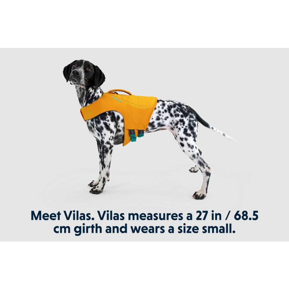 Ruffwear Float Coat Life Jacket 7 Ruffwear Float Coat Life Jacket - Image 5