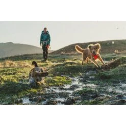 Ruffwear Front Range Harness 35 Ruffwear Front Range Harness -Outdoor Products Store fronthar bla2z