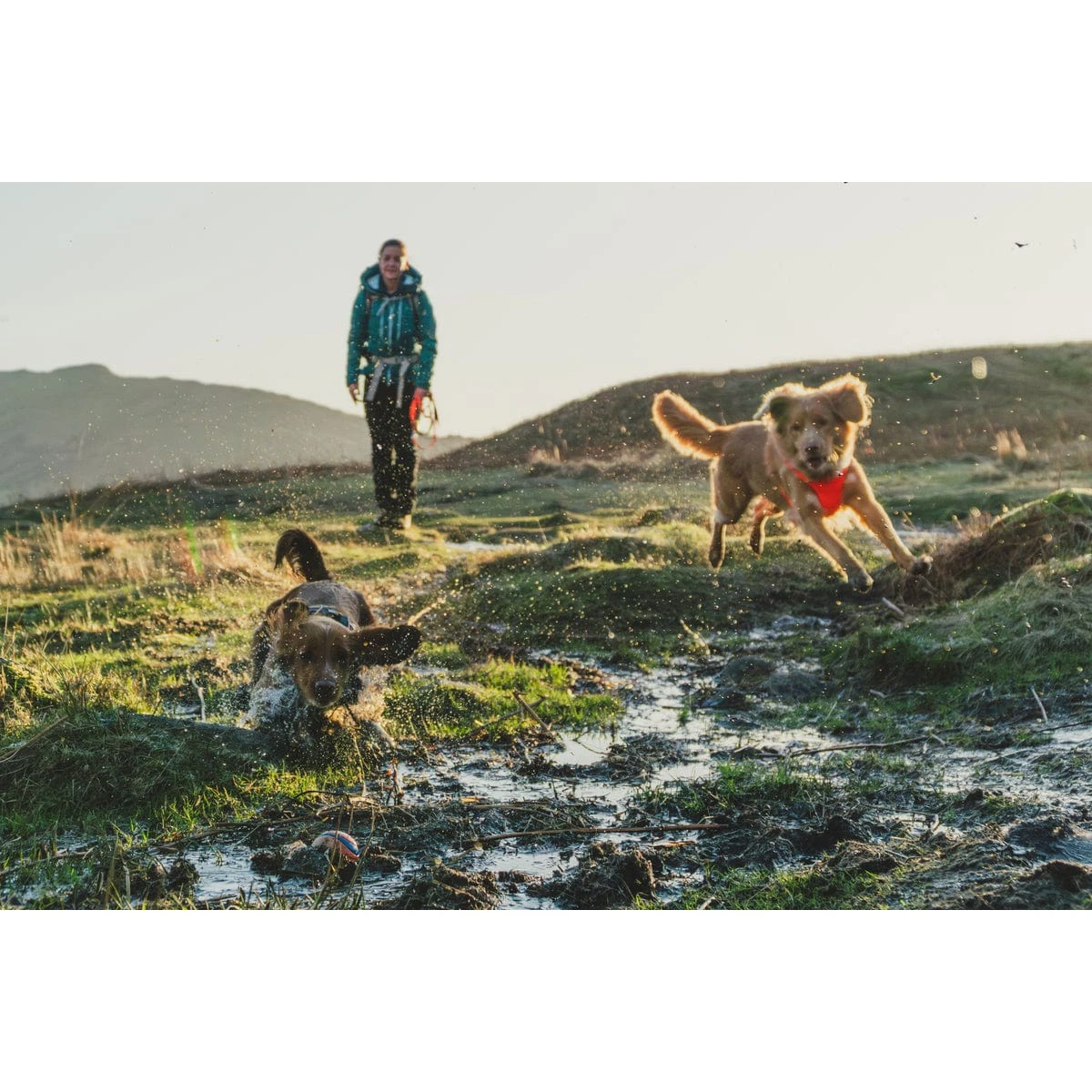 Ruffwear Front Range Harness 19 Ruffwear Front Range Harness - Image 17