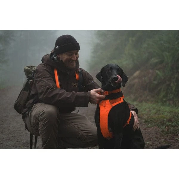 Ruffwear Front Range Harness 18 Ruffwear Front Range Harness - Image 16