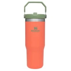 Stanley The IceFlow Flip Straw 20 Oz. Tumbler -Outdoor Products Store guava
