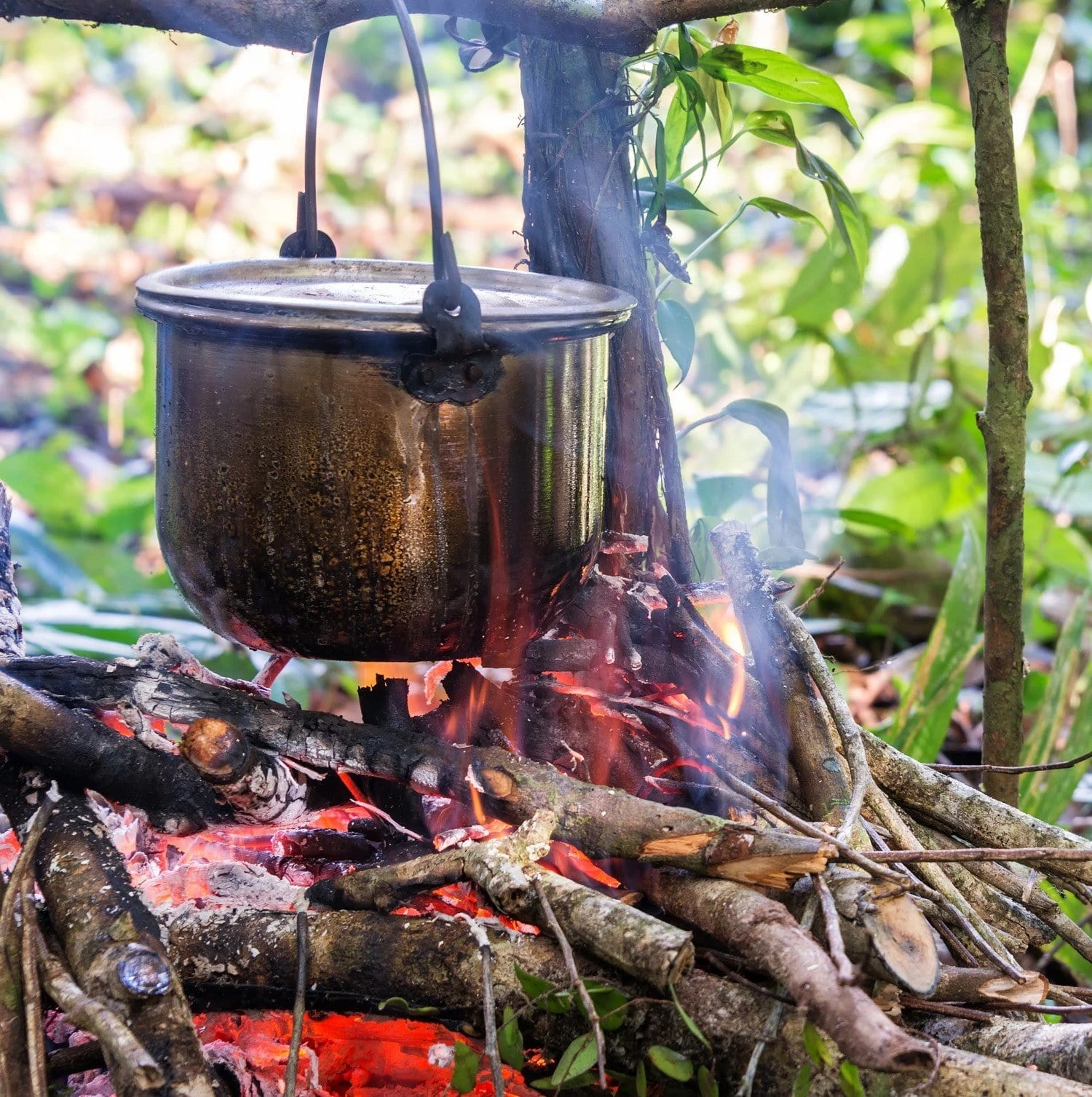 50 Piece Fire Starter Canister By QUICKSURVIVE 9 50 Piece Fire Starter Canister By QUICKSURVIVE - Image 7