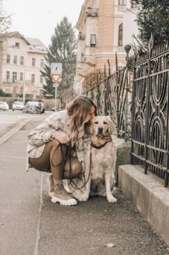 Butter Leather City Dog Leash - Classic Brown By Molly And Stitch US -Outdoor Products Store sd5JCGK0