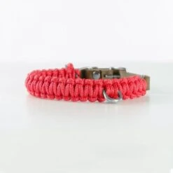 Touch Of Leather Dog Collar - Lipstick By Molly And Stitch US -Outdoor Products Store touch of leather dog collar lipstick 80e6c20d 0147 499c 93d8 b2e825a629c4