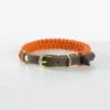 Touch Of Leather Dog Collar - Pumpkin By Molly And Stitch US -Outdoor Products Store touch of leather dog collar pumpkin 96d8f85f b346 401b 82d9 ed712763b922