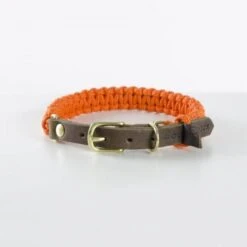 Touch Of Leather Dog Collar - Pumpkin By Molly And Stitch US