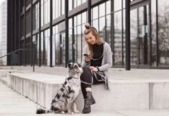 Butter Leather Dog Collar - Timeless Grey By Molly And Stitch US -Outdoor Products Store uyGjwc0A de2c04c6 b520 4431 9817 3b1974571f39