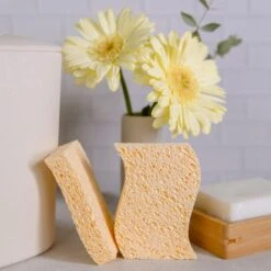 Cellulose Kitchen Sponges By Zero Waste 13 Cellulose Kitchen Sponges By Zero Waste -Outdoor Products Store zero waste club biodegradable sponges zero waste sponges biodegradable 100 wood pulp 2 sponges 31137932148847